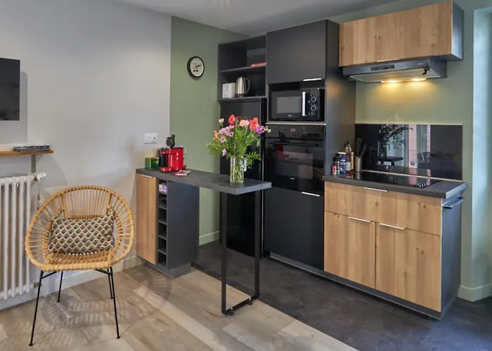 Centre Ville A Pied Appt Avec Sauna, Linge, Wifi, Stationnement Gratuit